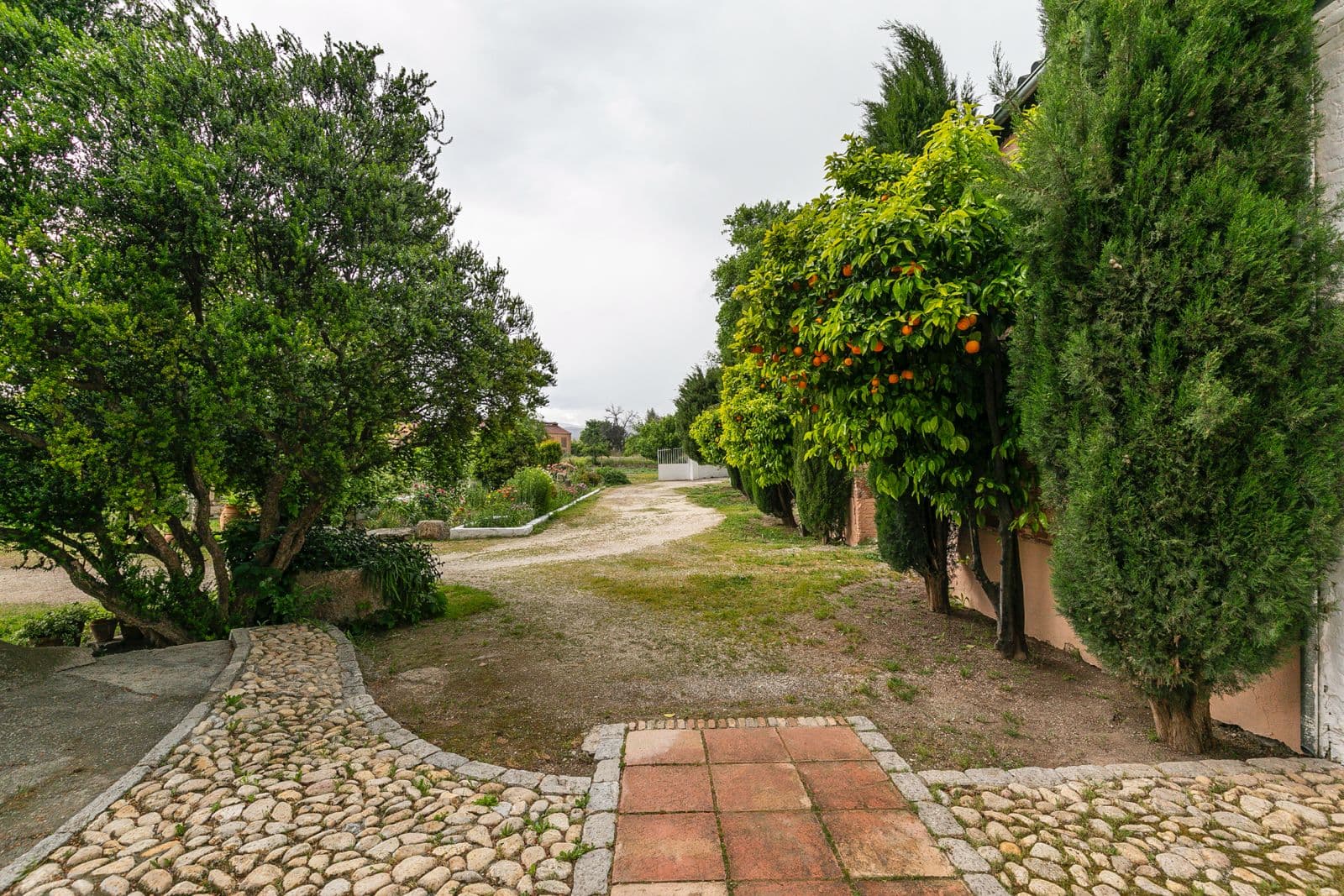 Cortijo el Alitaje — photo 6